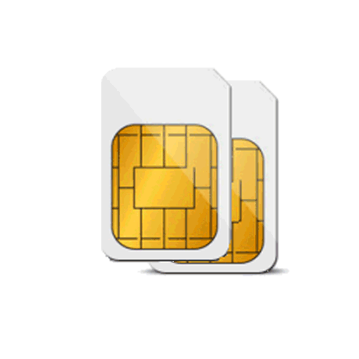 DualSim Data Manager logo