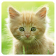 Cats Memory Game icon