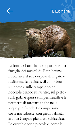 Parco Cilento Screen 3