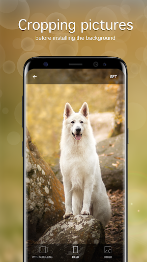 Dog Wallpapers PRO ekran görüntüsü