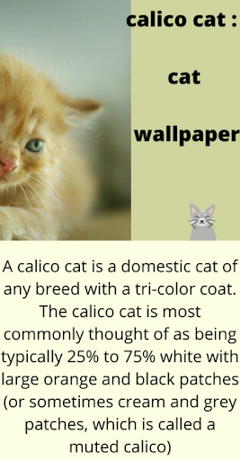Android application calico cat : cat wallpaper screenshort
