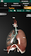 screenshot of Internal Organs in 3D Anatomy
