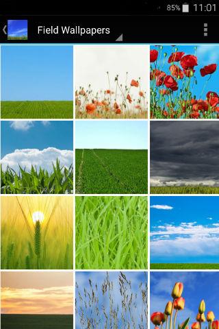 Android application Field Wallpapers screenshort