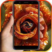 Rare Flower Live Wallpapers 4K Free Roses Library