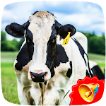 Cover Image of Tải xuống Cow Sounds  APK