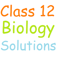 Class 12 Biology Solutions