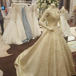 Cover Image of Download Wedding Gowns Designs 1.1 APK