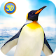 Penguin Family Simulator: Antarctic Quest Télécharger sur Windows