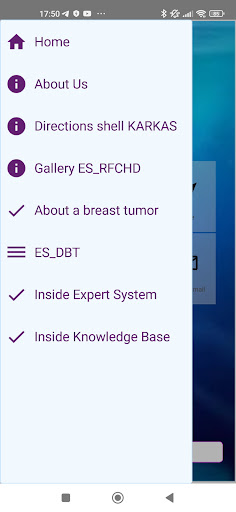 Expert system:breast tumor DBT Screen 2