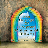 365 Sayings : Prophet Muhammad icon