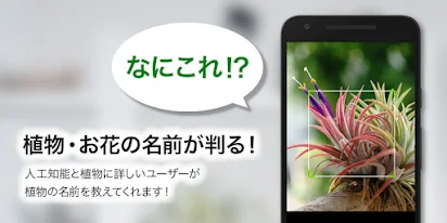 Greensnap 植物 花の名前が判る写真共有アプリ Google Play のアプリ