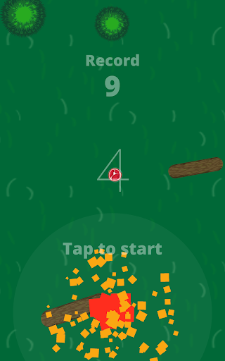 Lynx adventure – Predatory caracal