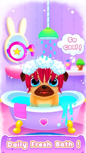 Puppy Pug at Animal Hair Salon