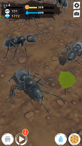 Ant Garden