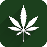Florida Medical Marijuana icon