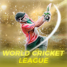 Real World: Cricket Games 2024 game apk icon