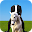 Horse With Man Photo Suit Download on Windows