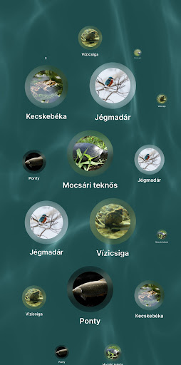 Vicán-tó Screen 3