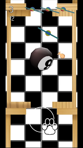 Cat Spin Screen 3