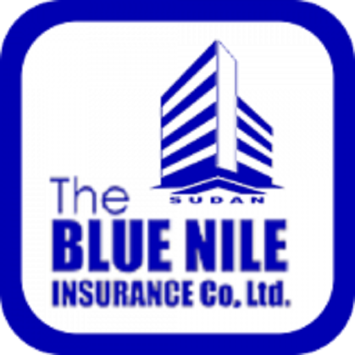 BNIC Surveyor logo