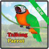 Talking and Dancing Parrot icon