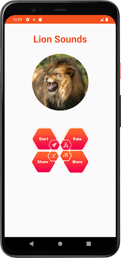 Lion Sounds Screen 2
