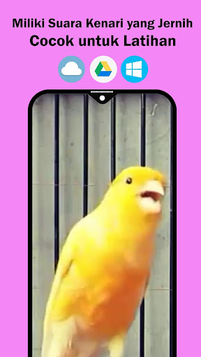 Suara Kenari Gacor Ampuh Screen 3