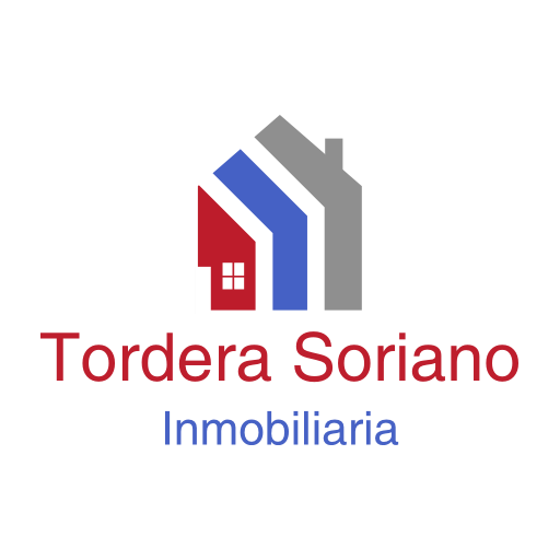 TS Inmo logo
