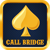 Call Bridge Card Game icon