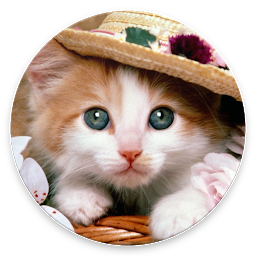 Icon image Cat Wallpapers