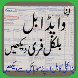 Electricity Bill Checker Wapda All Pakistan(2017) icon