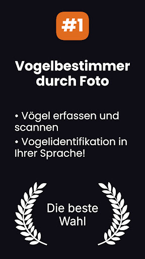 App-Vorschau