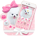 Pink Cute Puppy Dog Pet Bowknot Theme icon