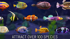 Fish Abyss - Build an Aquariumのおすすめ画像3