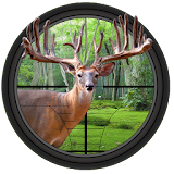 Deer Hunter Big Shot icon