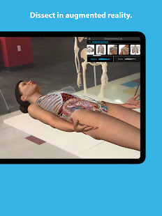 Screenshot dell'Atlante di anatomia umana 2024