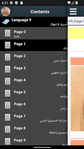 معاينة التطبيق