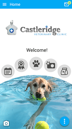 Android application Castleridge Vet screenshort