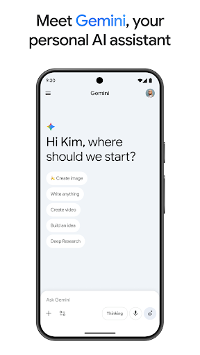 Google Gemini screenshot 3
