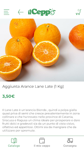 Il Ceppo Screen 2