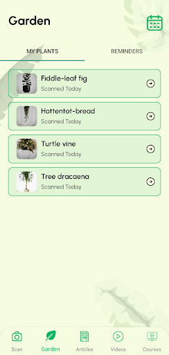 Screenshot of Plant Identifier App