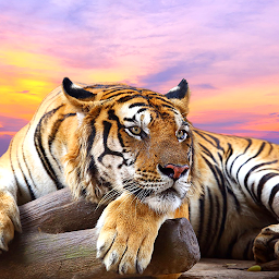 Immagine dell'icona Tiger Live Wallpaper