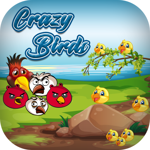 Crazy Birds logo