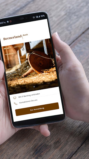 Bernerland Bank Screen 2