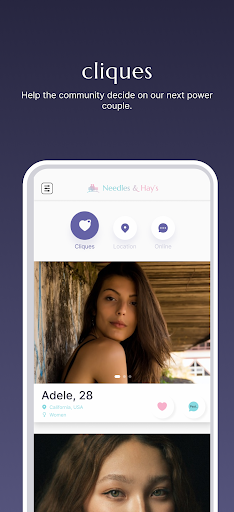 Needles and Hays Dating App 2
