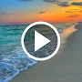 Beach Video Live Wallpaper