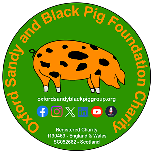 OSBPG Tools logo