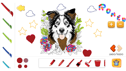 Android application Border Collie Lovely Coloring screenshort