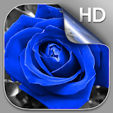 Blue Rose Live Wallpaper HD icon