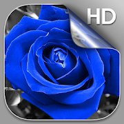 Blue Rose Live Wallpaper HD  Icon